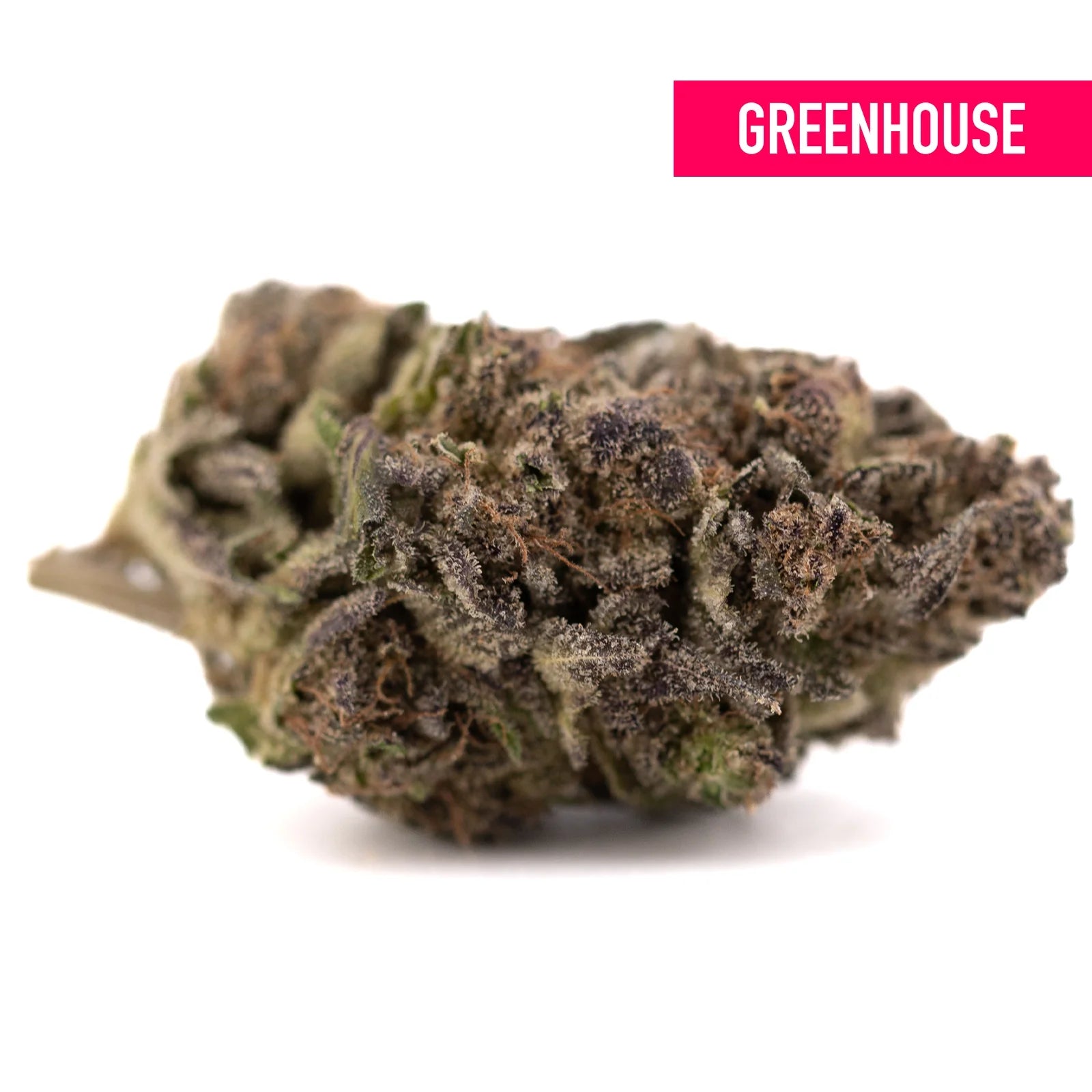 Purple Mountain Majesty THCa hemp flower with green bud and dark trichomes