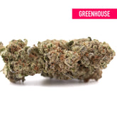 Purple Pop Rocks THCa hemp flower bud with white trichomes