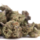 Lush dense purple pop rocks hemp flower buds with green brown hues covered in fine trichomes greenhouse smalls