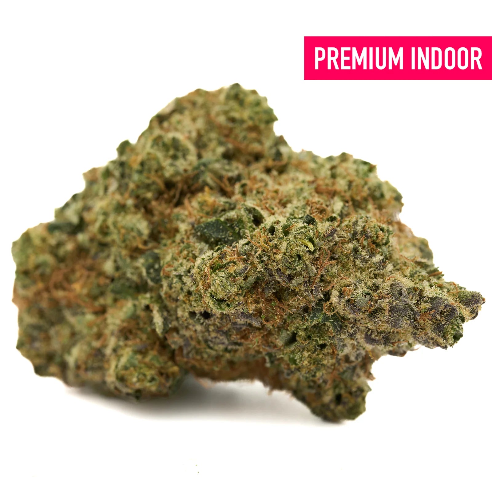 Dense premium indoor THCa flower Pyromaniac Indoor with green purple and orange buds