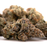 Dried Raspberry Runtz hemp flower with orange hairs and frosty trichomes for space cake