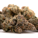 Dried Raspberry Runtz hemp flower with orange hairs and frosty trichomes for space cake