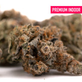 Premium indoor Raspberry Runtz THCA flower wholesale with vibrant space cake aroma