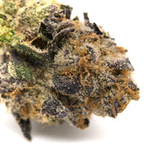 Close-up of Raspberry Runtz Indoor THCa Flower with trichomes and purple-orange hairs