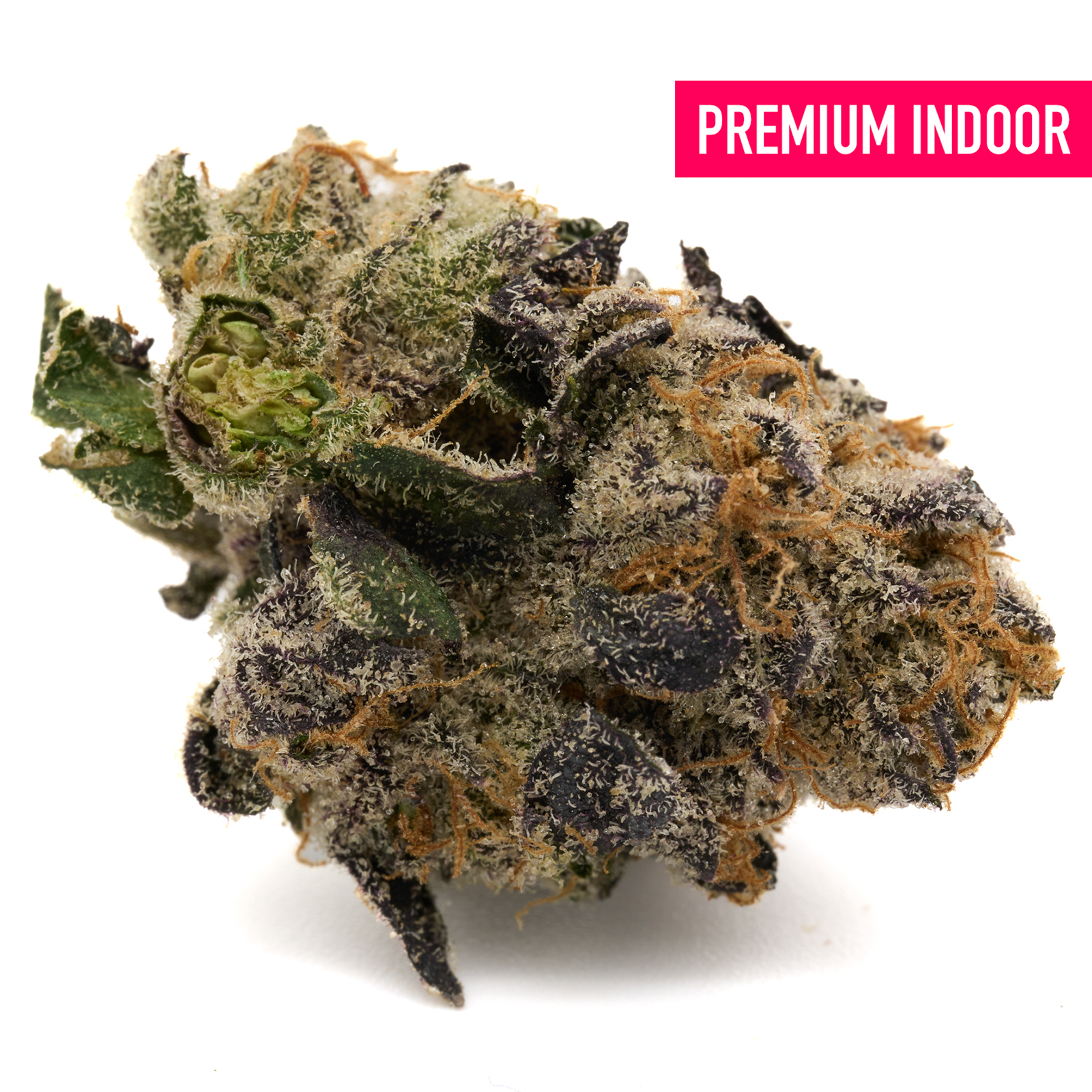 Raspberry Runtz Indoor THCa Flower with dense trichome-covered cannabis bud in vibrant green purple and orange hues