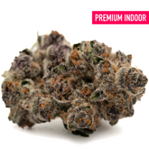 Close-up of Black Frost’s Indoor THCa Flower Blackberry Kush with dense trichomes and purple-orange hues