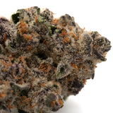 Black Frost’s indoor THCa flower featuring a dense Blackberry Kush cannabis bud with orange hairs and white trichomes