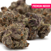 Raspberry Runtz Indoor THCa Flower with purple, green, and orange buds covered in trichomes