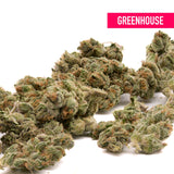 Red Velvet THCa Hemp Flower Greenhouse Wholesale - Plants