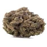 A dense rna full-term cbd hemp flower bud with green and purplish hues covered in fine trichomes and elevated cbg