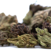 Rna cbd hemp flower full-term green and brown cbd smalls with frosty textured buds for wholesale buyers