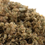 Rna cbd hemp flower trim featuring a dense textured bud with green beige hues and a rich terpene profile