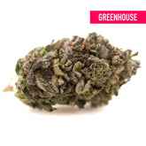 Dense frosty rozay cake hemp flower with green, purple hues and orange pistils for wedding cake enthusiasts