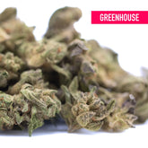 A dense green rozay cake hemp flower bud with textured surface and visible trichomes for wedding cake use