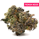 Russian Runtz indoor THCA flower with dense trichomes and vibrant orange hairs for indica sedation