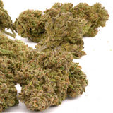Sasquatch THCa Hemp Flower - Plants