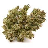 Light green Sauerkraut THCa Hemp Flower with purple punch and frosty trichomes