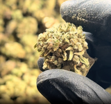 Hemp Flower THCA Flower Buds THCA Wholesale