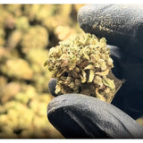 Hemp Flower THCA Flower Buds THCA Wholesale