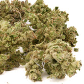 Light green Sauerkraut THCa Hemp Flower wholesale with white trichomes showcasing quality