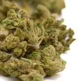 Green cannabis buds from Sauerkraut THCa Hemp Flower Wholesale Smalls, premium hemp flower