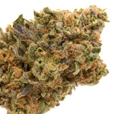 Sherbacio Indoor THCa Flower - Plants