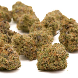 Sherbacio Indoor THCa Flower - Plants