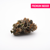 Sherbert Frost Indoor THCa Flower - 5g - Plants