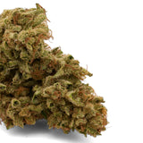 Skywalker THCa Hemp Flower - Plants