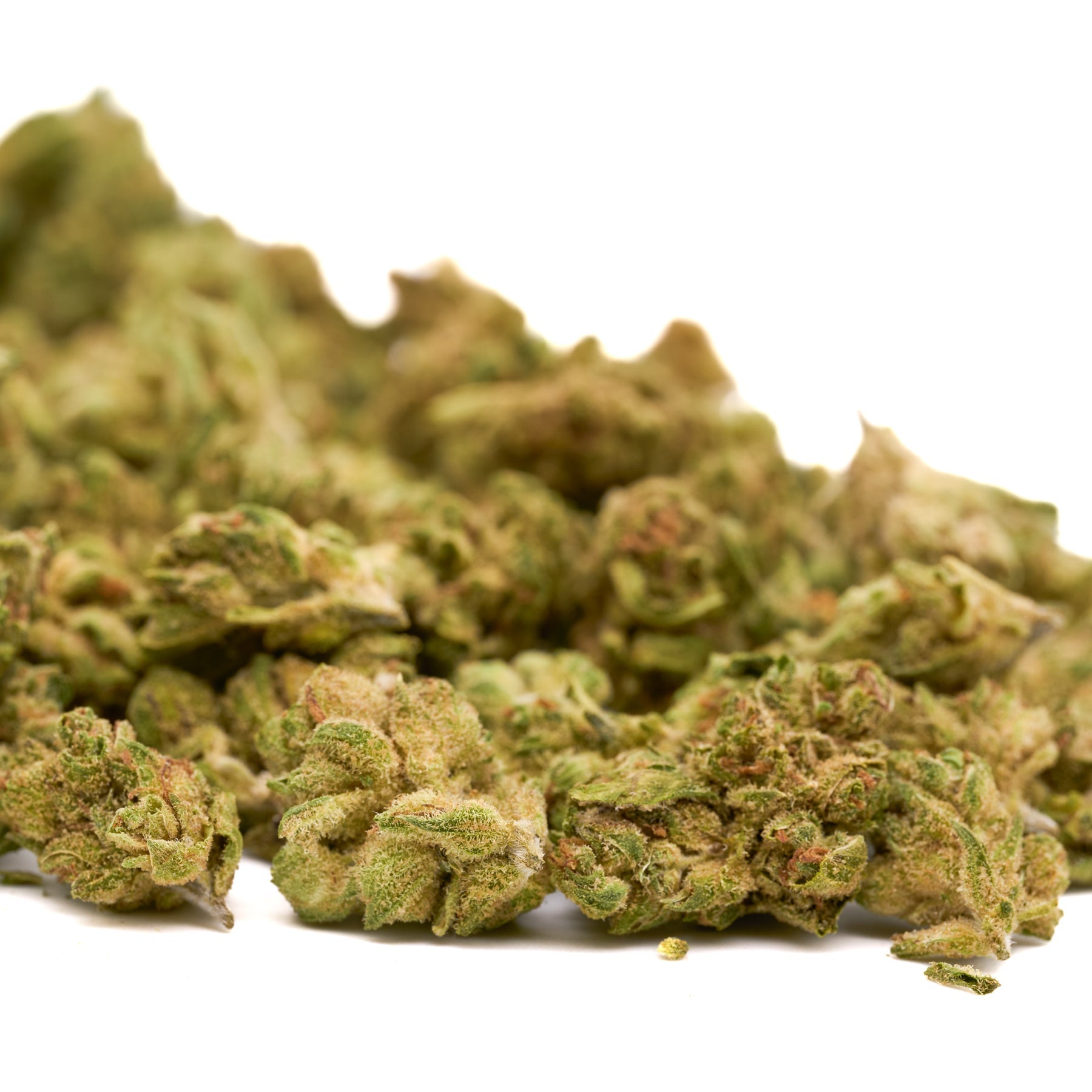 Skywalker THCa Hemp Flower Smalls - Plants