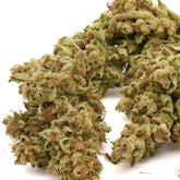 Skywalker THCa Hemp Flower - Plants