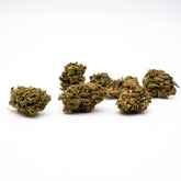 Skywalker THCa Hemp Flower Wholesale Smalls - Plants