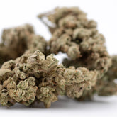 Sour Apple THCa Flower hemp bud wholesale product