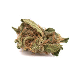 Dense green sour brûlée cbd smalls flower with white trichomes and orange pistils in cbd smalls hemp form