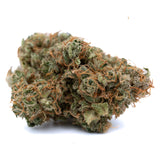 Dense Sour Chem CBD hemp flower full-term with trichomes and orange pistils
