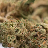 A dense green sour chem smalls cbd hemp flower with fuzzy texture and orange pistils for wholesale use