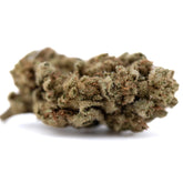 Sour Diesel THCa Flower with dense trichomes and earthy tones