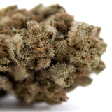 Sour Diesel THCa flower bud with dense trichomes and earthy tones