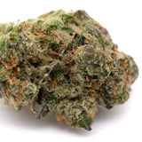 Sour Garlic THCa Hemp Flower - Plants