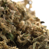 A dense sour hawaiian haze cbd trim hemp flower bud with green and amber hues covered in fine resinous trichomes