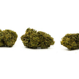 Sour Hawaiian Haze Hemp Flower - Plants