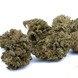 Sour OG THCa Hemp Flower - Plants