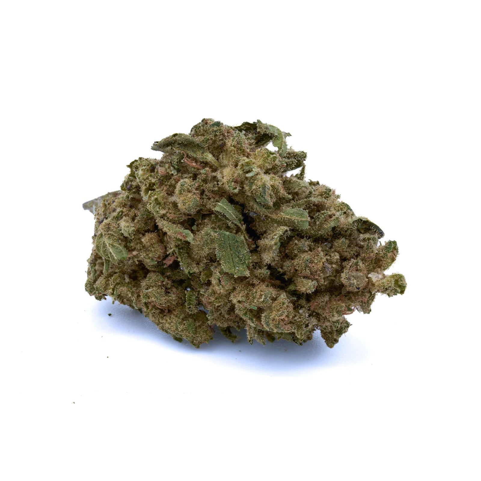 Sour OG THCa Hemp Flower - Plants