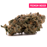 Premium Sour Runtz Indoor THCa Flower with trichomes and orange pistils for therapeutic potential