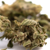 A dense green sour space candy cbd hemp flower full-term small bud with a frosty white trichome coating and visible pistils