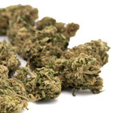 Dried CBD Hemp Flower displaying Spectrum CBD Thca Flower for full-term relaxation