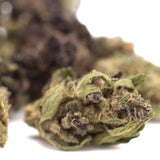 A dense green spectrum cbd hemp flower bud with dark purple trichomes in harle tsu full-term smalls wholesale