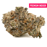 Interstellar overdrive Star Child Indoor THCa Flower with dense trichome-covered cannabis bud