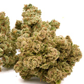 Star Krunch THCa Hemp Flower - Plants