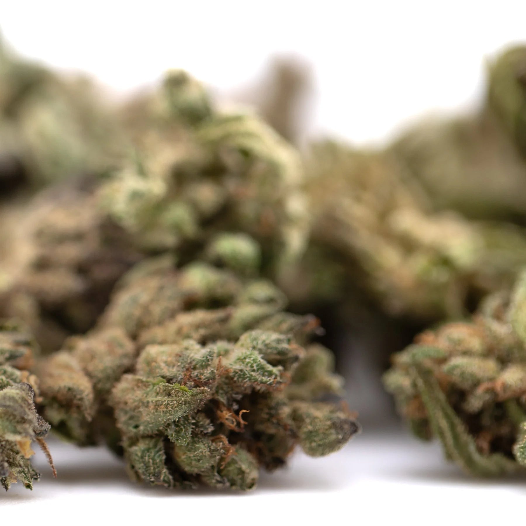 Green and brown strawberry cheesecake small thca flower buds with dense frosty texture in hemp flower form